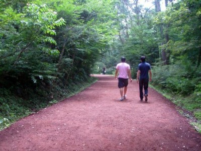 Saryeoni Forest Path
